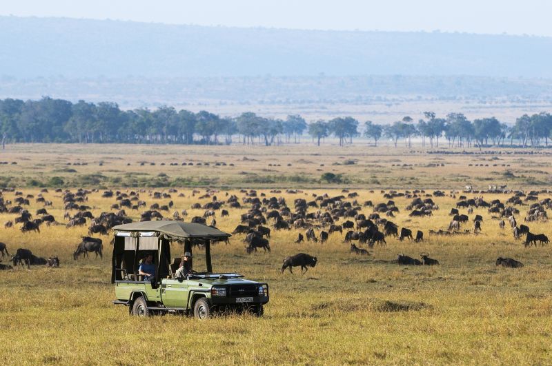 maraexpeditioncamp-safari-experience-greatplainsconservation-7