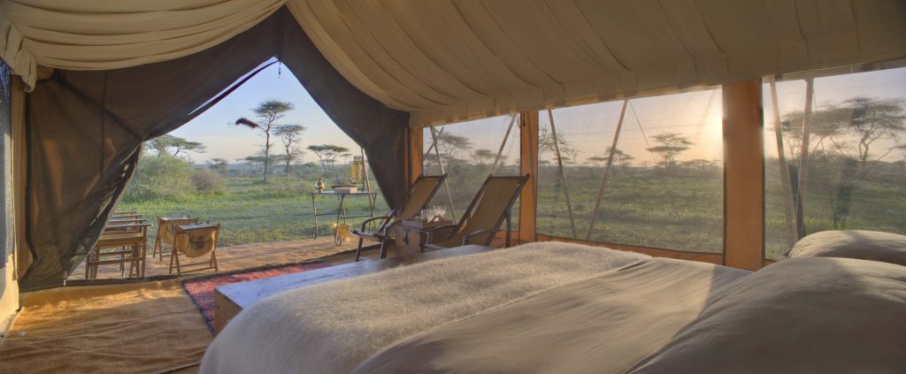 Serengeti-Guest-Room8.jpg